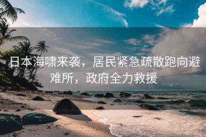日本海嘯來襲，居民緊急疏散跑向避難所，政府全力救援