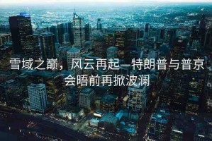 雪域之巔，風(fēng)云再起—特朗普與普京會(huì)晤前再掀波瀾