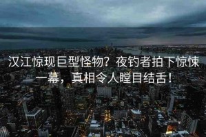 漢江驚現(xiàn)巨型怪物？夜釣者拍下驚悚一幕，真相令人瞠目結(jié)舌！