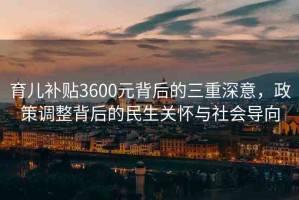 育兒補貼3600元背后的三重深意，政策調整背后的民生關懷與社會導向