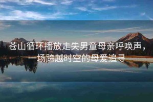 蒼山循環(huán)播放走失男童母親呼喚聲，一場跨越時空的母愛追尋