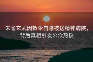 朱雀玄武因敕令自曝被送精神病院，背后真相引發(fā)公眾熱議