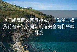 也門胡塞武裝再展神威，紅海第二艘貨輪遭擊沉，國際航運(yùn)安全面臨嚴(yán)峻挑戰(zhàn)