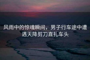 風(fēng)雨中的驚魂瞬間，男子行車途中遭遇天降剪刀直扎車頭