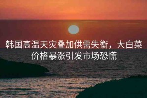 韓國高溫天災(zāi)疊加供需失衡，大白菜價格暴漲引發(fā)市場恐慌