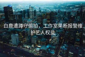 白鹿遭蹲守偷拍，工作室果斷報警維護藝人權益