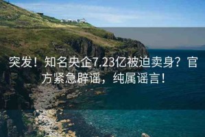 突發(fā)！知名央企7.23億被迫賣身？官方緊急辟謠，純屬謠言！