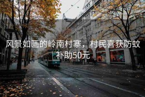 風(fēng)景如畫(huà)的嶺南村寨，村民喜獲防蚊補(bǔ)助50元
