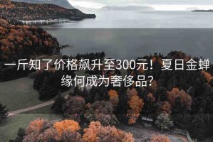 一斤知了價格飆升至300元！夏日金蟬緣何成為奢侈品？