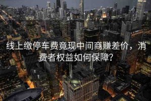 線(xiàn)上繳停車(chē)費(fèi)竟現(xiàn)中間商賺差價(jià)，消費(fèi)者權(quán)益如何保障？