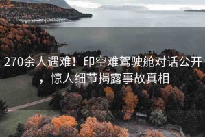 270余人遇難！印空難駕駛艙對話公開，驚人細(xì)節(jié)揭露事故真相