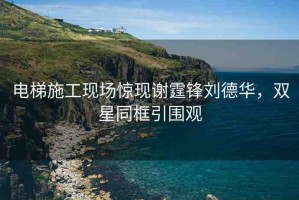 電梯施工現(xiàn)場(chǎng)驚現(xiàn)謝霆鋒劉德華，雙星同框引圍觀