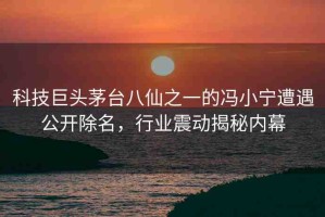 科技巨頭茅臺八仙之一的馮小寧遭遇公開除名，行業(yè)震動揭秘內幕
