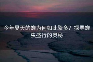 今年夏天的蟬為何如此繁多？探尋蟬蟲(chóng)盛行的奧秘