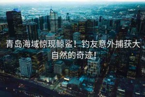 青島海域驚現(xiàn)鯨鯊！釣友意外捕獲大自然的奇跡！