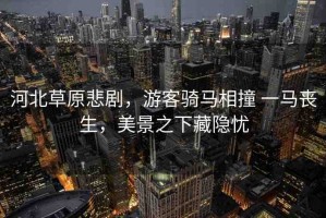 河北草原悲劇，游客騎馬相撞 一馬喪生，美景之下藏隱憂