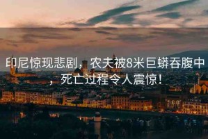 印尼驚現(xiàn)悲劇，農(nóng)夫被8米巨蟒吞腹中，死亡過(guò)程令人震驚！