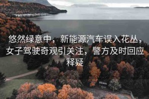 悠然綠意中，新能源汽車誤入花叢，女子駕駛奇觀引關(guān)注，警方及時回應(yīng)釋疑