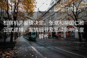 檢察機關(guān)重磅決定，張斌和柳國仁被正式逮捕，案情細節(jié)及后續(xù)影響深度解析