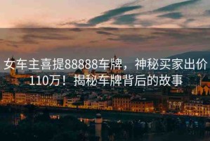 女車主喜提88888車牌，神秘買家出價110萬！揭秘車牌背后的故事