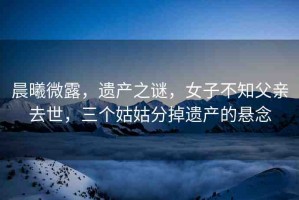晨曦微露，遺產(chǎn)之謎，女子不知父親去世，三個姑姑分掉遺產(chǎn)的懸念