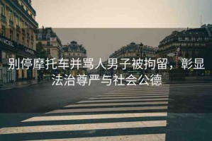 別停摩托車并罵人男子被拘留，彰顯法治尊嚴與社會公德