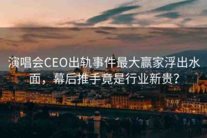 演唱會(huì)CEO出軌事件最大贏家浮出水面，幕后推手竟是行業(yè)新貴？