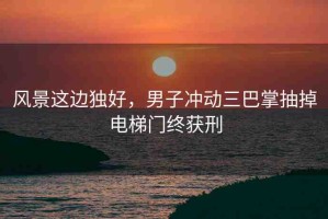 風(fēng)景這邊獨(dú)好，男子沖動(dòng)三巴掌抽掉電梯門終獲刑