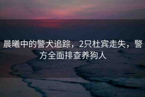 晨曦中的警犬追蹤，2只杜賓走失，警方全面排查養(yǎng)狗人