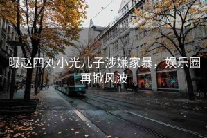 曝趙四劉小光兒子涉嫌家暴，娛樂圈再掀風(fēng)波