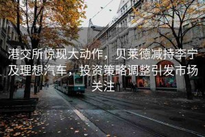 港交所驚現(xiàn)大動作，貝萊德減持李寧及理想汽車，投資策略調整引發(fā)市場關注