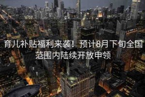 育兒補(bǔ)貼福利來襲！預(yù)計(jì)8月下旬全國范圍內(nèi)陸續(xù)開放申領(lǐng)