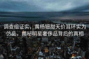 調查組證實，黃楊鈿甜天價耳環(huán)實為仿品，揭秘明星奢侈品背后的真相