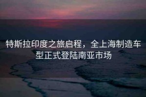 特斯拉印度之旅啟程，全上海制造車型正式登陸南亞市場(chǎng)