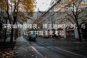 深夜幽林驚魂夜，博主抱樹7小時，與山洪共度生死考驗(yàn)