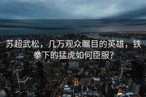 蘇超武松，幾萬觀眾矚目的英雄，鐵拳下的猛虎如何臣服？