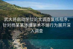 武大將啟動學(xué)位論文調(diào)查復(fù)核程序，針對楊某某涉嫌學(xué)術(shù)不端行為展開深入調(diào)查