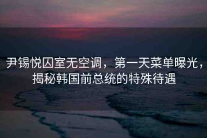 尹錫悅囚室無空調(diào)，第一天菜單曝光，揭秘韓國(guó)前總統(tǒng)的特殊待遇