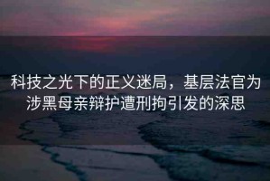 科技之光下的正義迷局，基層法官為涉黑母親辯護(hù)遭刑拘引發(fā)的深思