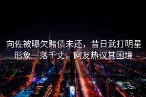 向佐被曝欠賭債未還，昔日武打明星形象一落千丈，網(wǎng)友熱議其困境