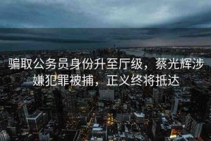 騙取公務員身份升至廳級，蔡光輝涉嫌犯罪被捕，正義終將抵達