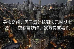 尋寶奇緣，男子意外挖到宋元時(shí)期寶藏，一夜暴富夢(mèng)碎，20萬(wàn)賣寶被抓