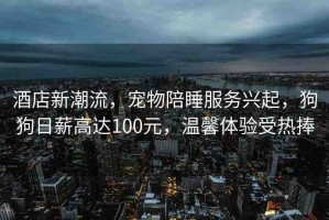 酒店新潮流，寵物陪睡服務(wù)興起，狗狗日薪高達(dá)100元，溫馨體驗(yàn)受熱捧
