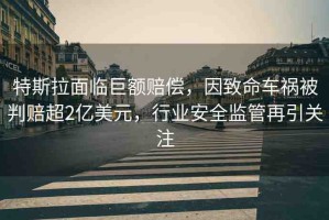 特斯拉面臨巨額賠償，因致命車禍被判賠超2億美元，行業(yè)安全監(jiān)管再引關(guān)注