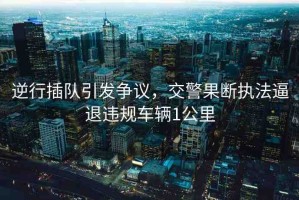 逆行插隊(duì)引發(fā)爭議，交警果斷執(zhí)法逼退違規(guī)車輛1公里