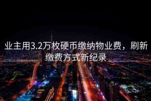 業(yè)主用3.2萬枚硬幣繳納物業(yè)費，刷新繳費方式新紀錄