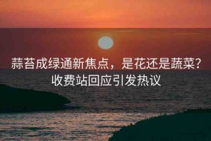 蒜苔成綠通新焦點(diǎn)，是花還是蔬菜？收費(fèi)站回應(yīng)引發(fā)熱議