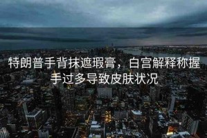 特朗普手背抹遮瑕膏，白宮解釋稱握手過多導致皮膚狀況