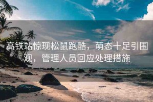高鐵站驚現(xiàn)松鼠跑酷，萌態(tài)十足引圍觀，管理人員回應(yīng)處理措施