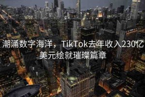 潮涌數(shù)字海洋，TikTok去年收入230億美元繪就璀璨篇章